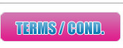 terms and conditions